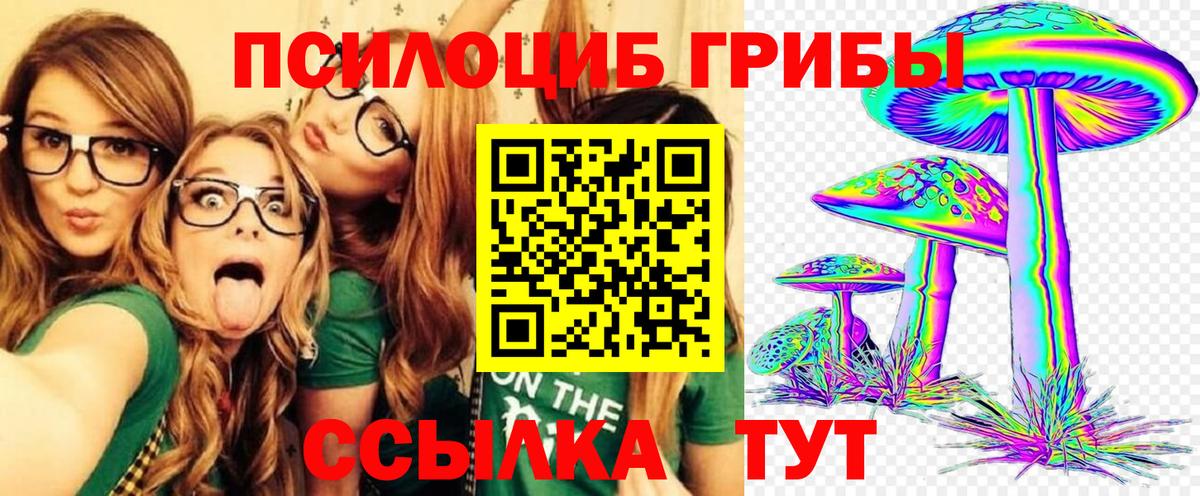 Псилоцибиновые грибы MAGIC MUSHROOMS  где можно купить наркотик  Галлюциногенные грибы Cubensis  Кубинка  Вход с VPN 